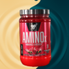 Amino X. Aminoácidos BSN